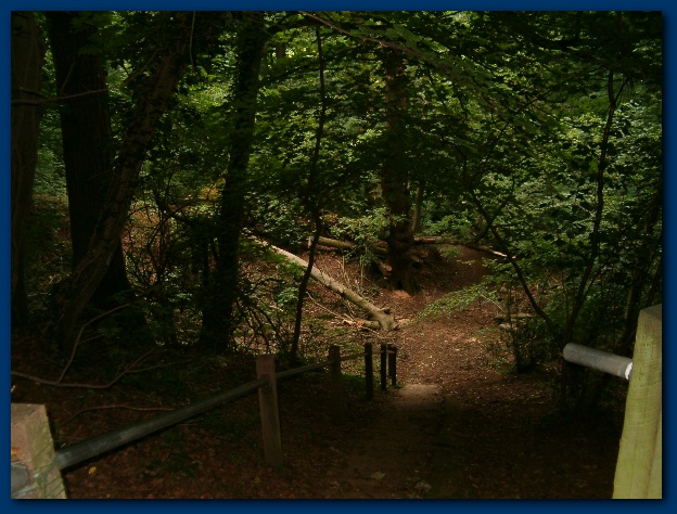 600x449 pixels (144K)